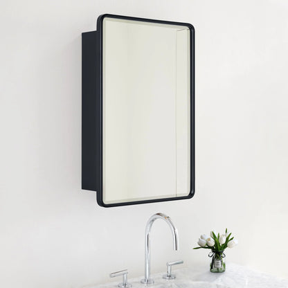 TEHOME Eldee Rectangle Metal Framed Bathroom Medicine Cabinet 16x24 - Black