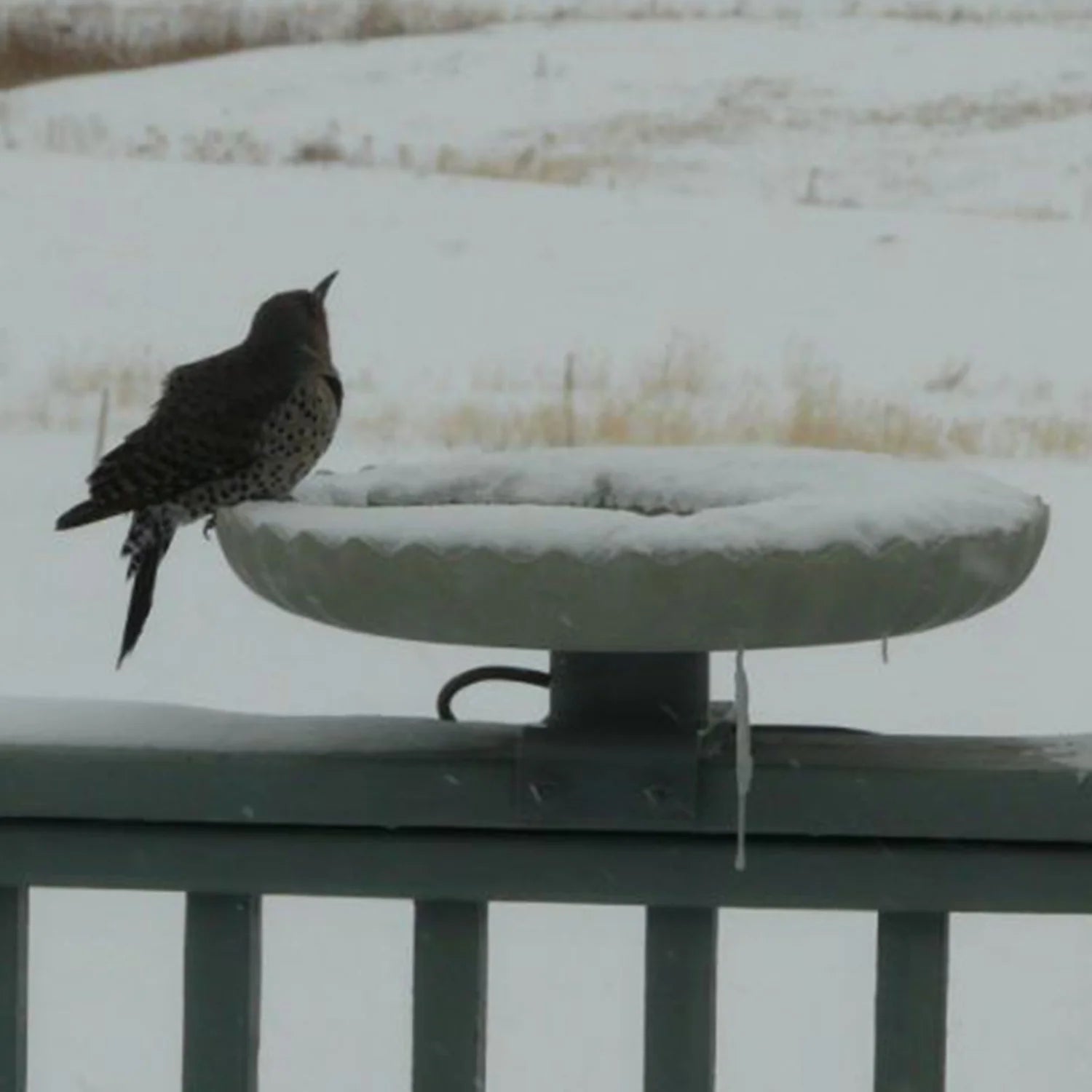 Farm Innovators Outdoor Heated Bird Bath, 120W Stone Birdbath w/Deck Mount