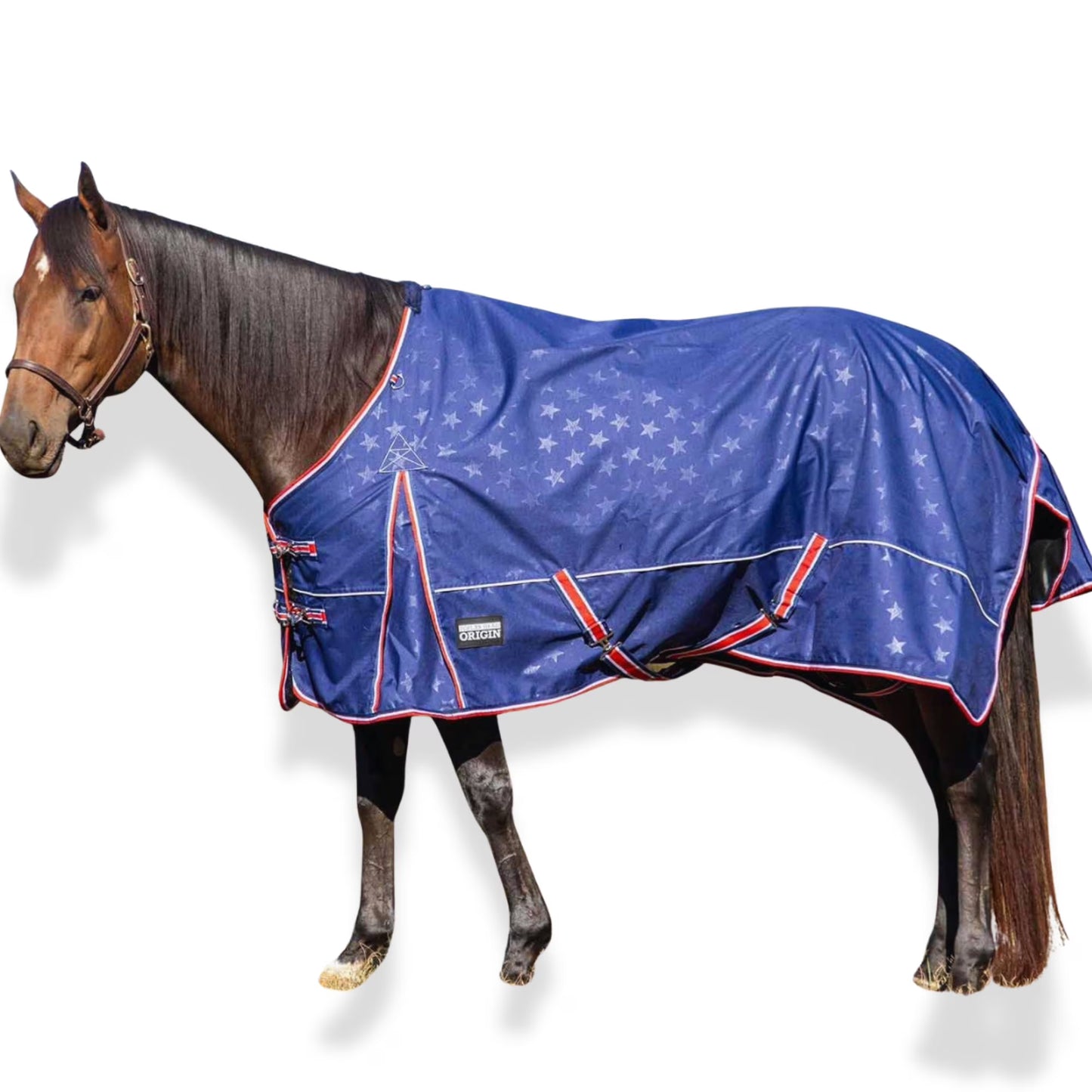 Jeffers Poplar Head Origin 600 Denier Turnout Blanket | 240 Gram Polyfill | Waterproof, Breathable, Horse Blanket for Cold Weather | Navy with Star Print, Adjustable Straps, Fits 72"