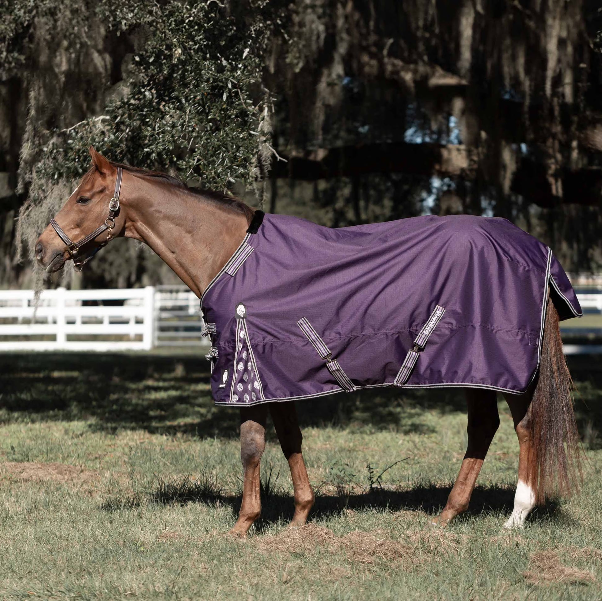 Equinavia Norse 200g Medium Weight Horse Blanket Waterproof All Weather Winter Turnout