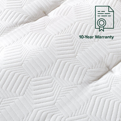 Zinus Euro Top 12" Hybrid Mattress - Comfort Foam and Pocket Spring, Queen