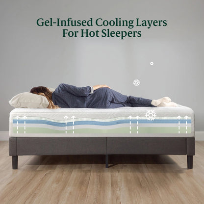 Zinus 12" Winter Cloud Memory Foam Mattress, Made of US Foam and Global Materials, Queen