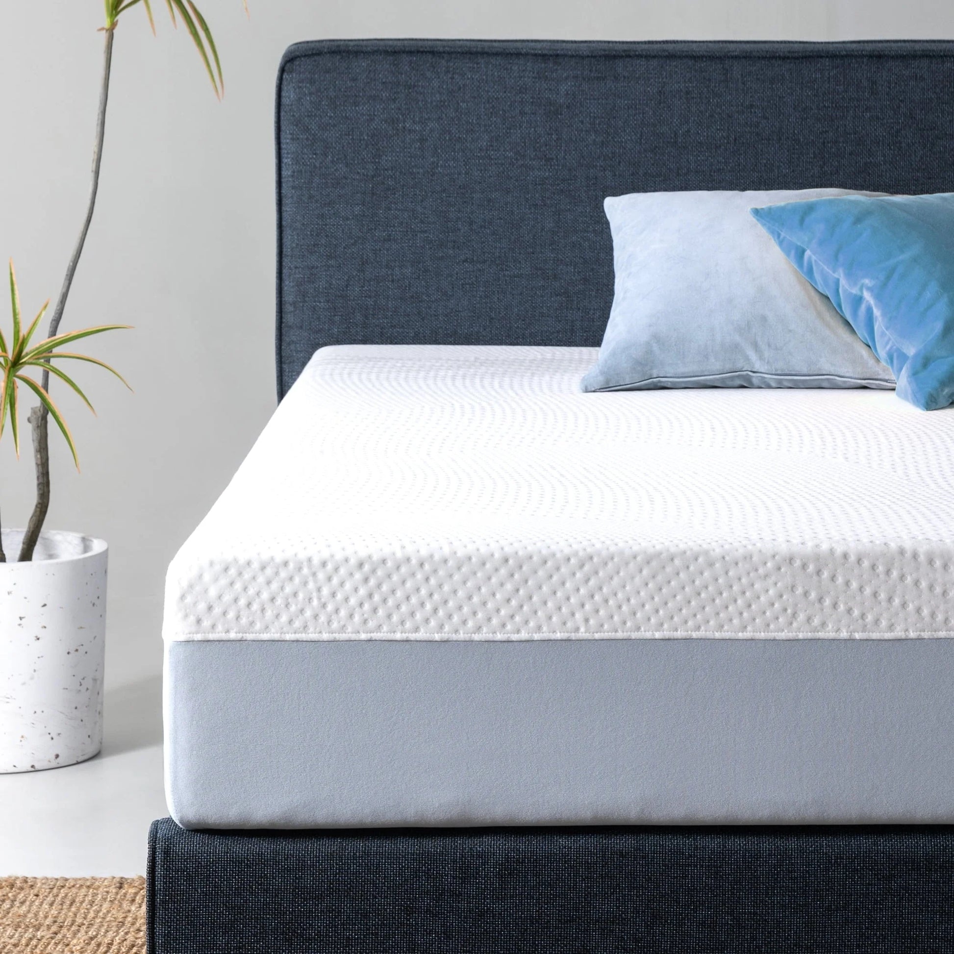 Spa Sensations by Zinus 12" Gel Essential Memory Foam Mattress, King