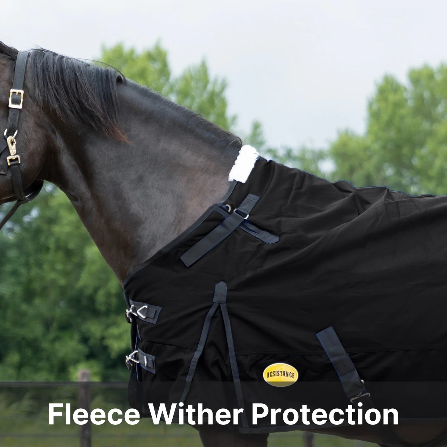 RESISTANCE Premium 1200D Waterproof Horse Turnout Blanket with 300g Polyfill & Adjustable Buckle Closure