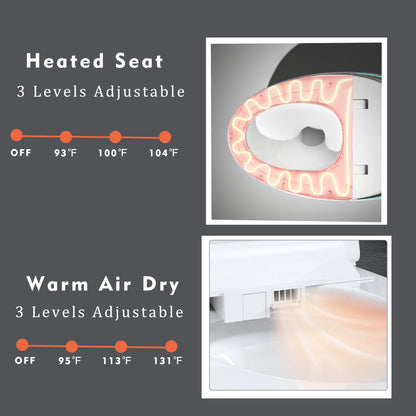 WinZo Smart Toilet with Bidet Seat, Elongated Egg Shaped Modern Design, Auto Open and Flush, Adjusted Heated Seat, Warm Water and Dryer, Night Light, Side Buttons, Matte Black