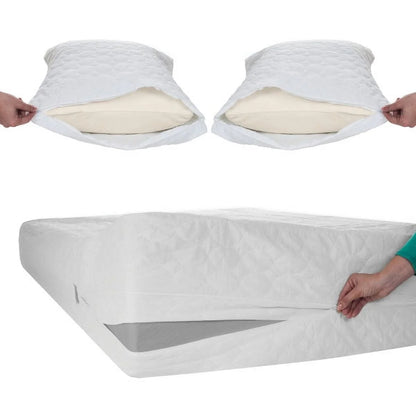 Remedy 4-lb Bed Bug Dust Mite Cotton Mattress & Pillow Protector-Twin