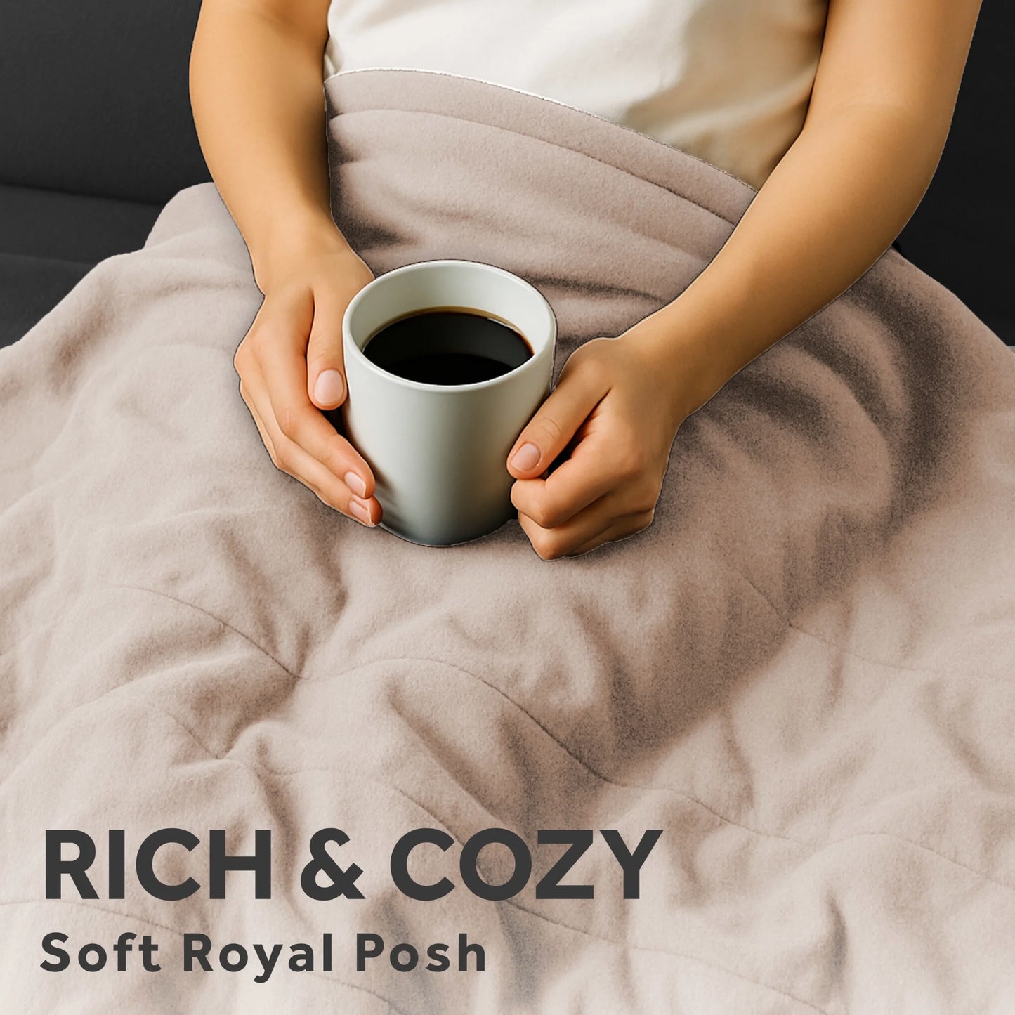 Sunbeam Heated Blanket Royal Posh Velvet Champagne 12 Heat Settings 12-Hour Auto Shut Off Full 84"x72"
