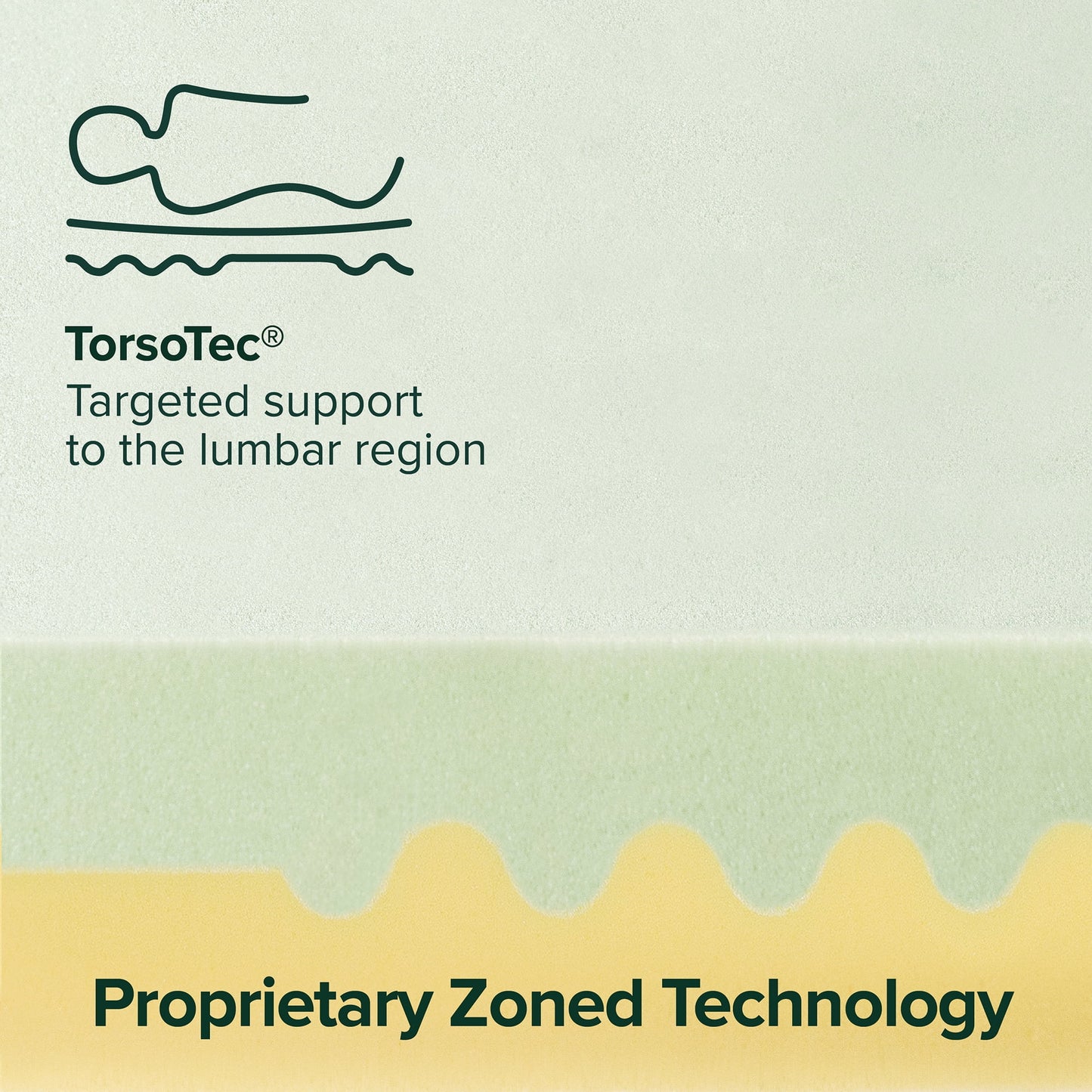 Spa Sensations by Zinus 4" Green Tea TorsoTec Memory Foam Mattress Topper, Twin