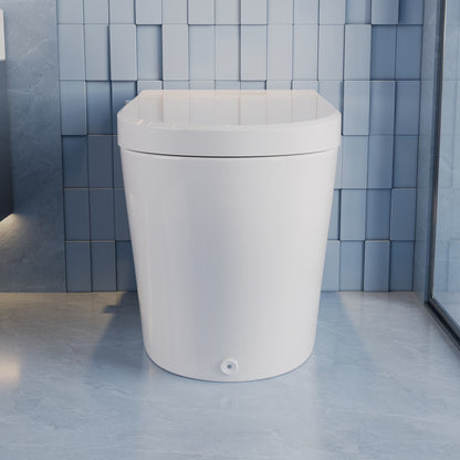 Elongated Bidet Toilet 1.28 GPF in White with Remote, Blackout Flush, Auto Flush, Heated Seat and Warm Air Dryer