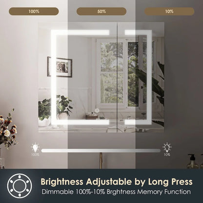 Hemnes 32" Frameless Silver Glass LED Lighted Bathroom Medicine Cabinet