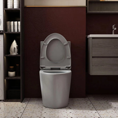 Albriya A1854 One Piece Toilet, Modern Elongated Toilet Power Dual Flush 1.1/1.6 GPF with Comfortable Chair Seat ADA Height 16 1/4’for Bathroom, 12’Rough-In, MaP 1000g, Grey