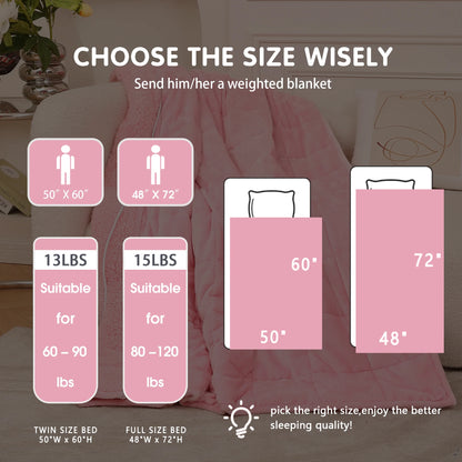 PMONPA Heated Weighted Blanket for Adults, Sherpa Fleece Electric Blanket Queen Size ,60° x 80°, 20lbs