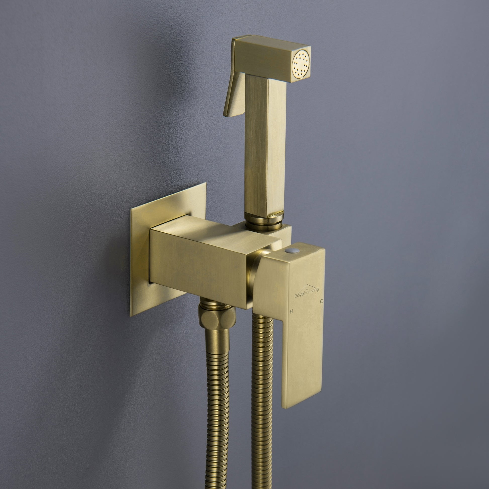 Clihome Wall Mount Single-Handle Bidet Faucet with Handle Gold Brushed
