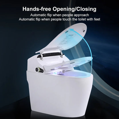 Homary Modern Smart One-Piece 1.27 GPF Floor Mounted Elongated Toilet and Bidet with Seat