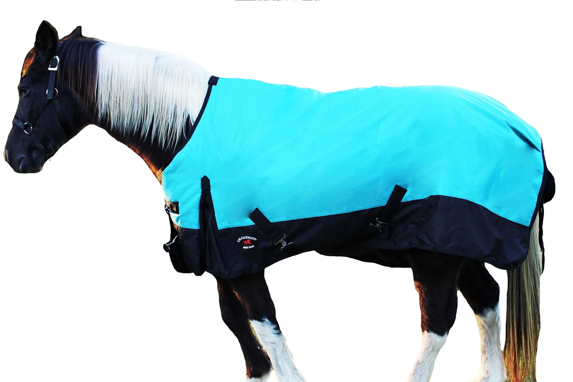 82" 1200D Horse Turnout Waterproof Heavy Weight Winter Blanket 5EE10G