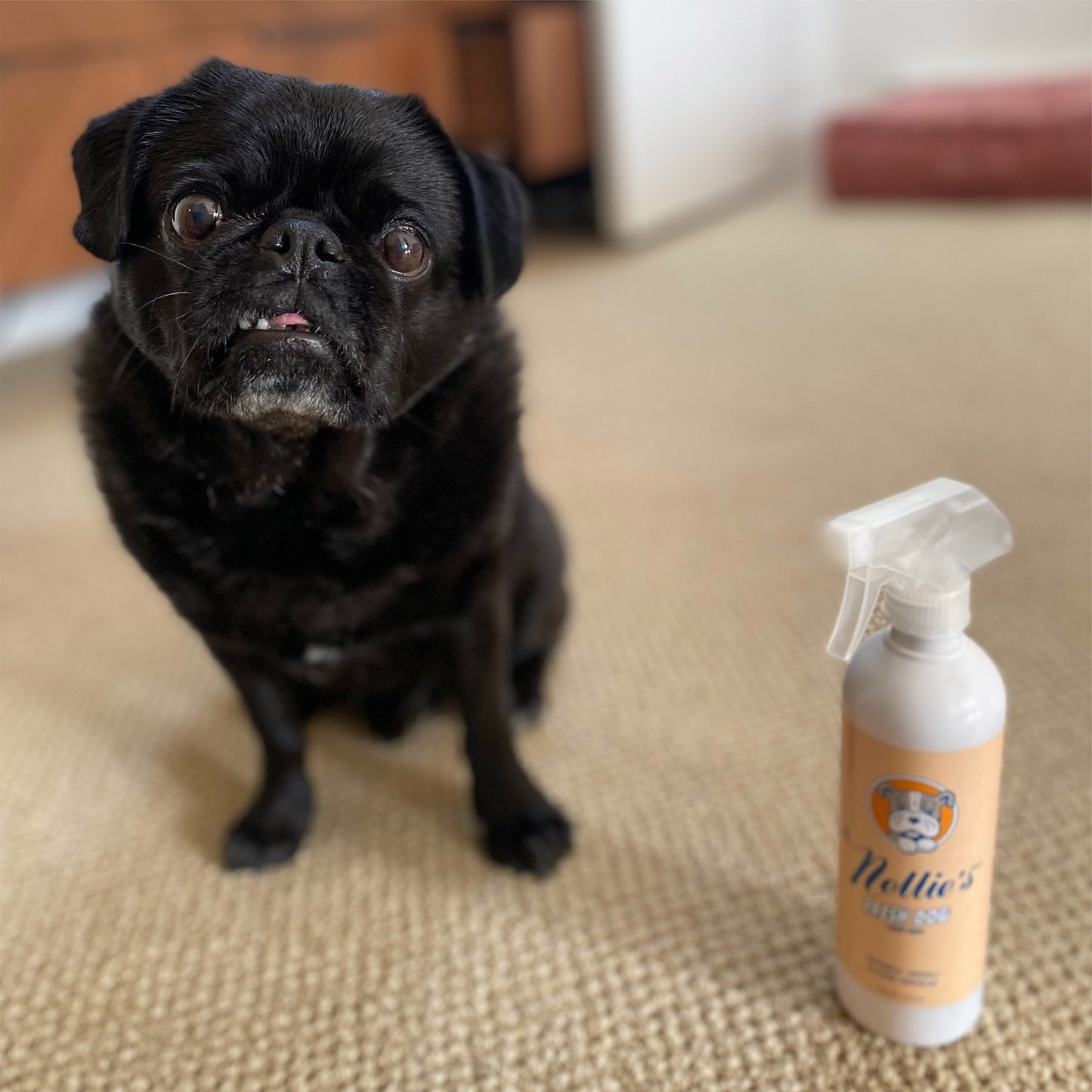 Nellie's Dog Towel and Waterless Dog 16 fl oz Shampoo Bundle