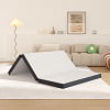 YRLLENSDAN 3 Inch Single Mattress, Floor Mattress Foldable Bed with Washable Cover Non-Slip Bottom for Camping Folding Mattress Trifold Mattress Foldable Mattress Single Size, 75" x 25" x 3"