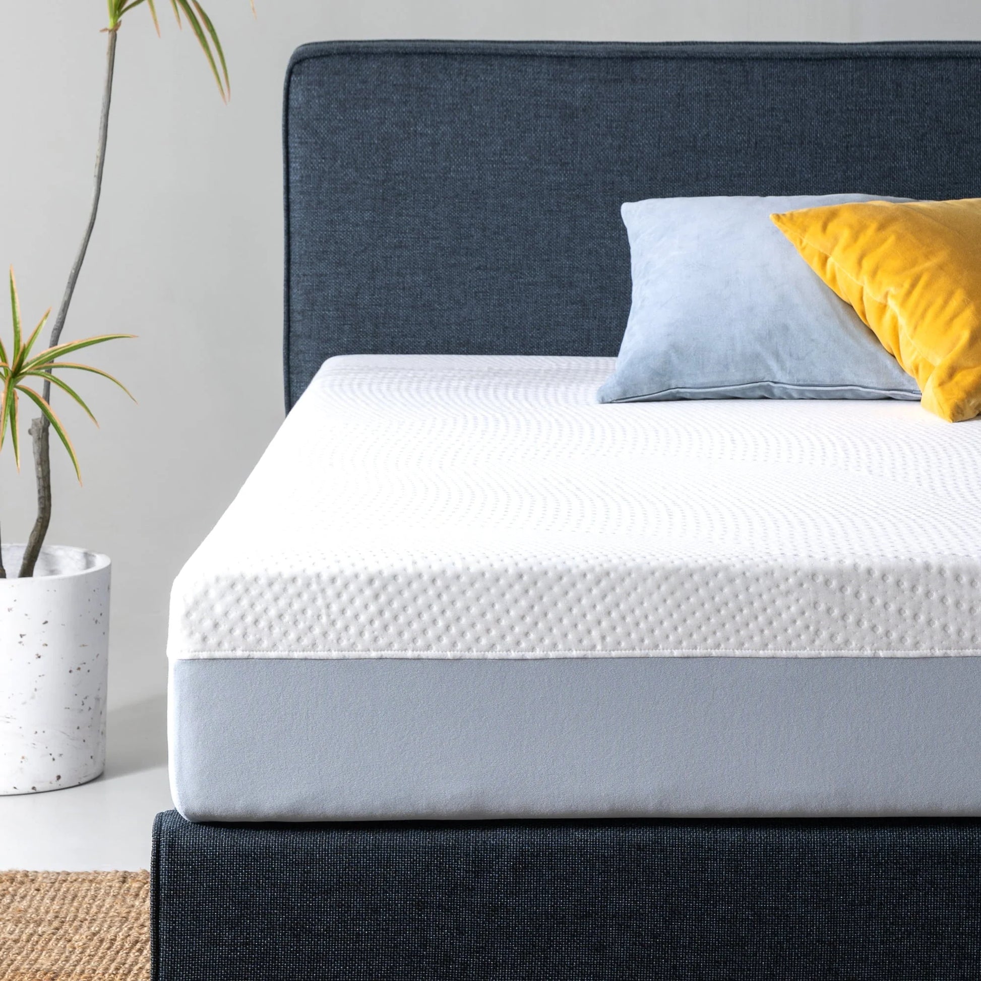 Spa Sensations by Zinus 10" Gel Essential Memory Foam Mattress, Queen