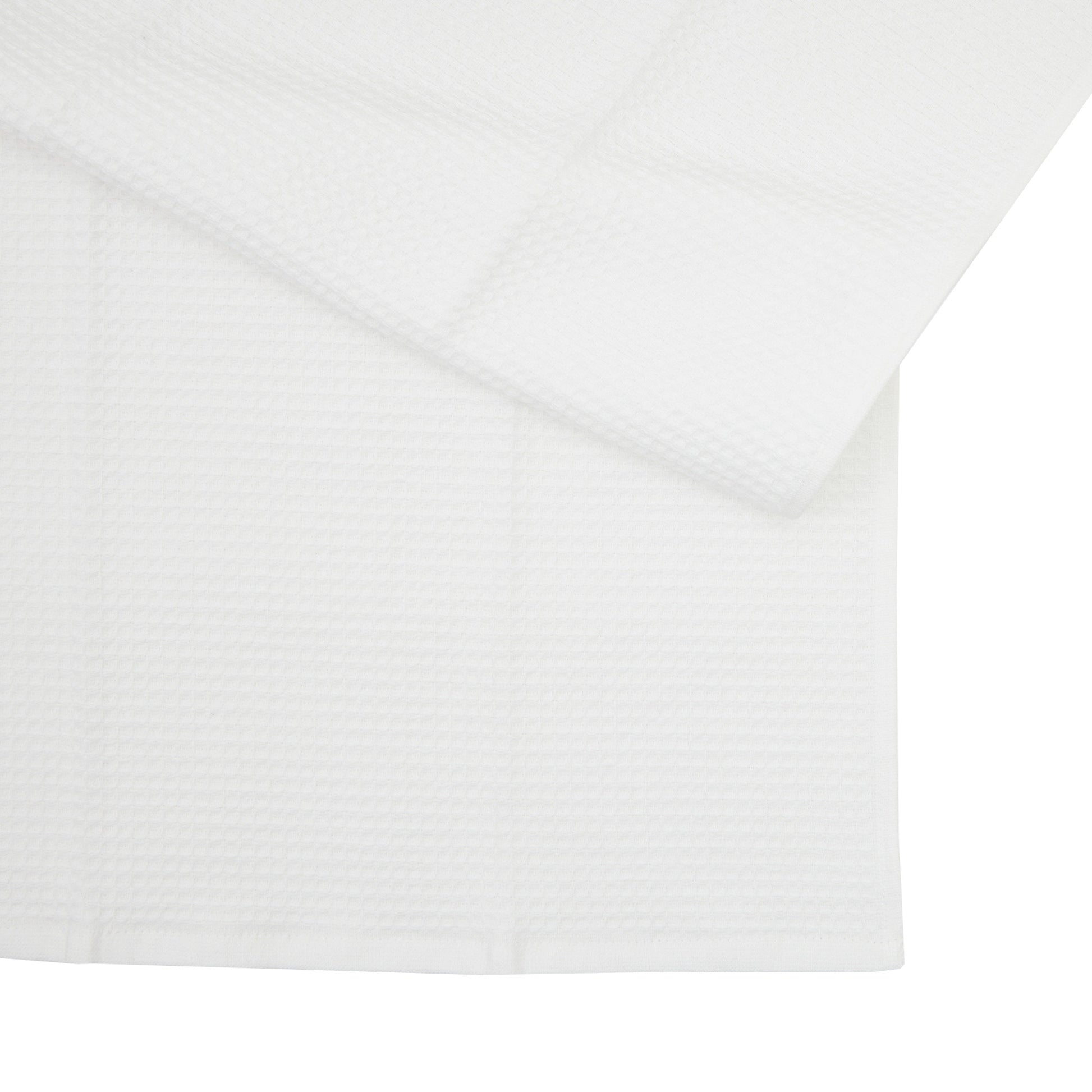 Terry Kitchen Towels, 8-pack