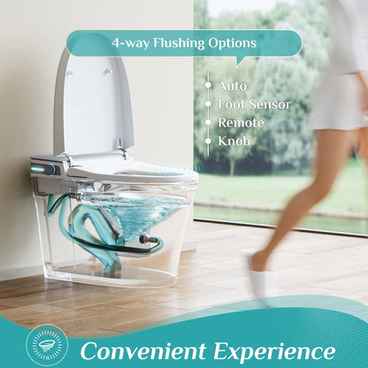 HOROW 10" Rough-in Bidet Toilet , White with Auto Open/Close Lid, Instant Warm Water, Elongated Heated Seat