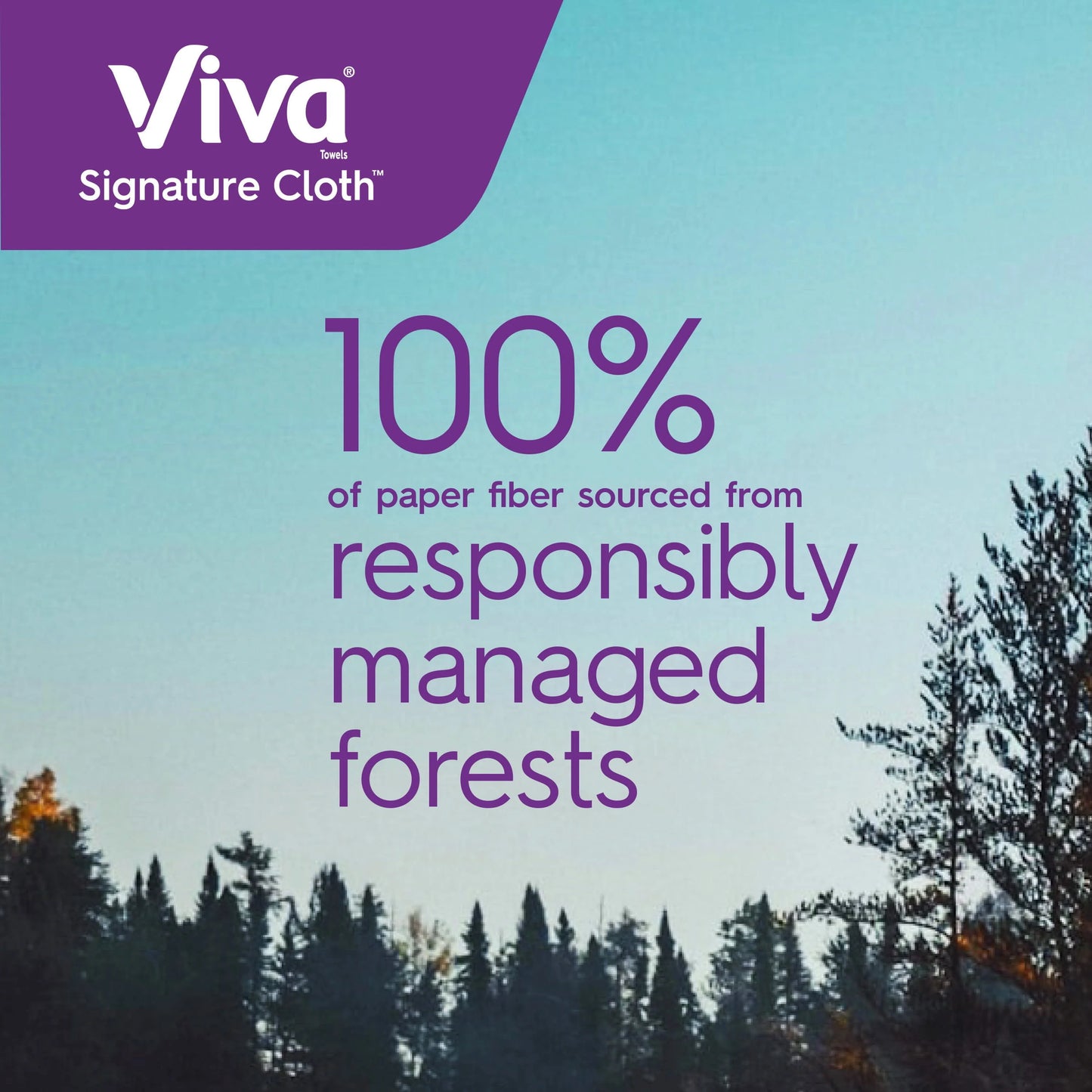 Viva Signature Cloth Paper Towels, 6 Double Rolls (94 Sheets per Roll)