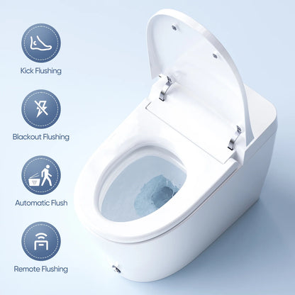 HOROW Luxury Smart Toilet, with Bidet Built-in, Automatic, Auto Open/close Lid, Heated Bidet Seat