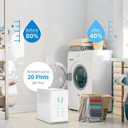 Rocyis 30 Pint 1500 sq. Ft Small Compressor Dehumidifier for Home with Auto Shut, Drain Hose Humidity Control for Bedroom, Bathroom, RV