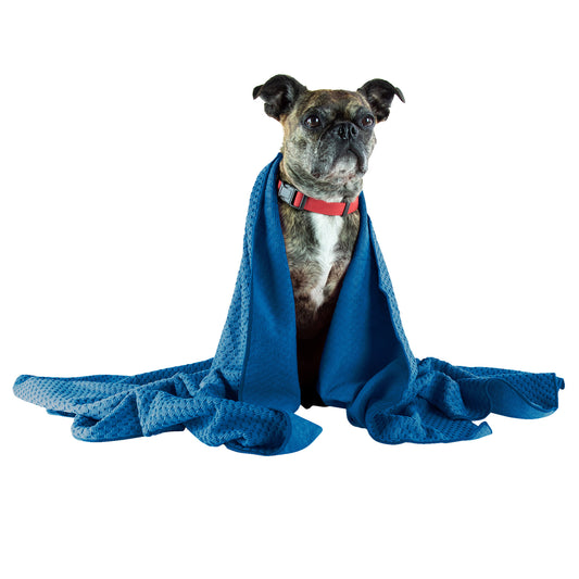 Nellie's Dog Towel and Waterless Dog 16 fl oz Shampoo Bundle