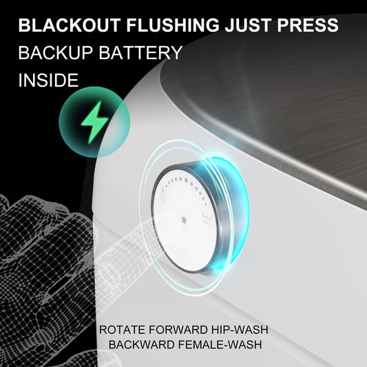 Bidet Smart Toilet with Heat Seat, Auto Flush, Dryer, LED Display T03 One Piece Elongated