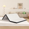 YRLLENSDAN 3 Inch Single Mattress, Floor Mattress Foldable Bed with Washable Cover Non-Slip Bottom for Camping Folding Mattress Trifold Mattress Foldable Mattress Single Size, 75" x 25" x 3"