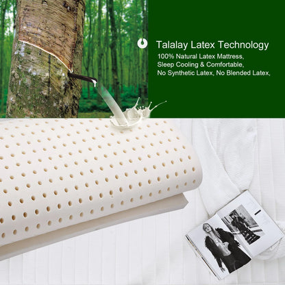Bedding 8" Natural Latex Twin Mattress, Non-Toxic Organic Mattress