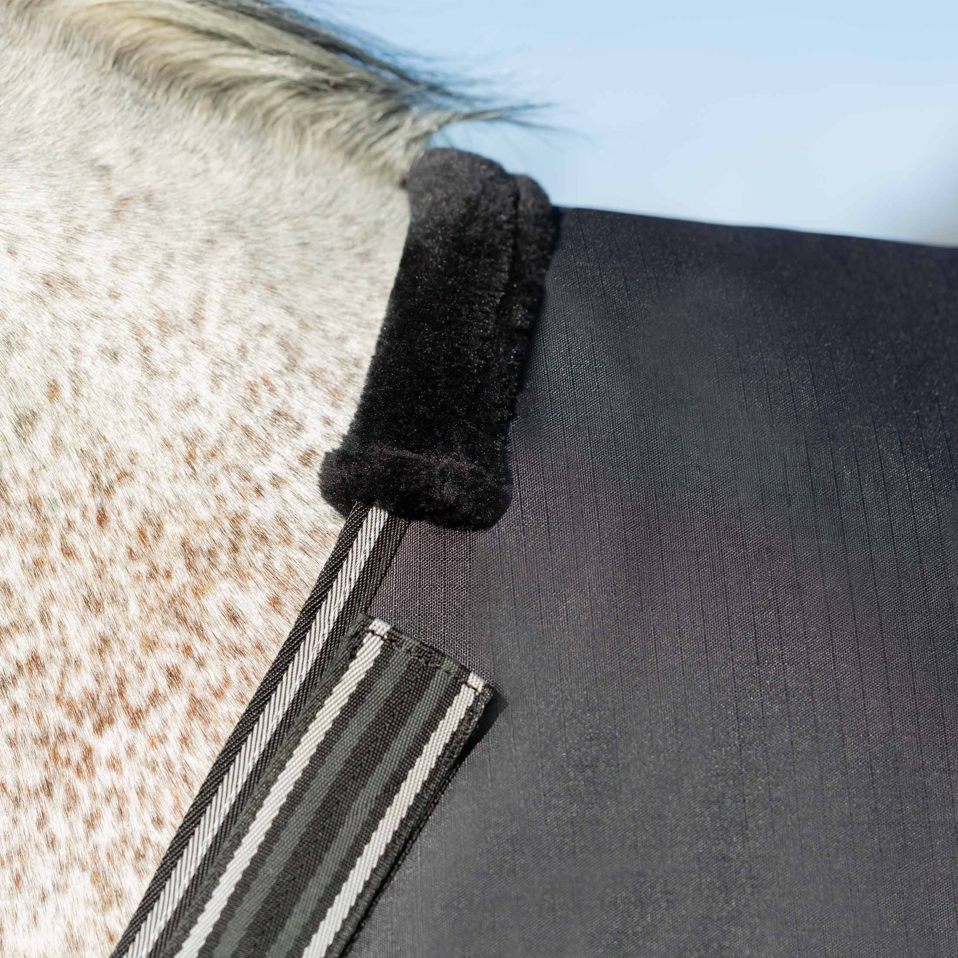 Equinavia Norse 200g Medium Weight Horse Blanket Waterproof All Weather Winter Turnout
