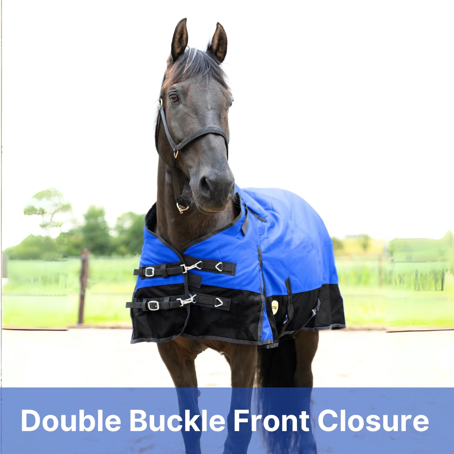RESISTANCE Premium 1200D Waterproof Horse Turnout Blanket with 300g Polyfill & Adjustable Buckle Closure