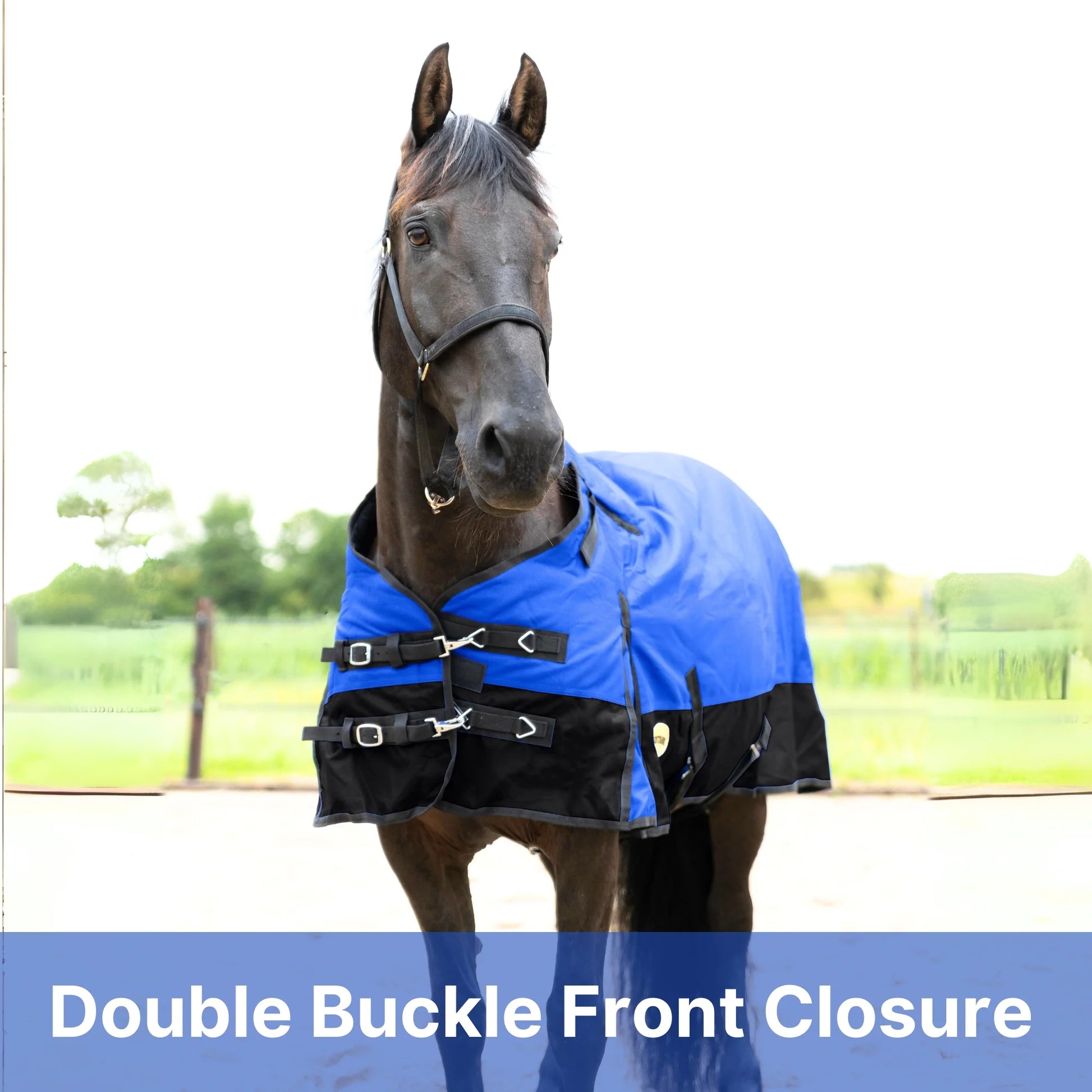 RESISTANCE Premium 1200D Waterproof Horse Turnout Blanket with 300g Polyfill & Adjustable Buckle Closure