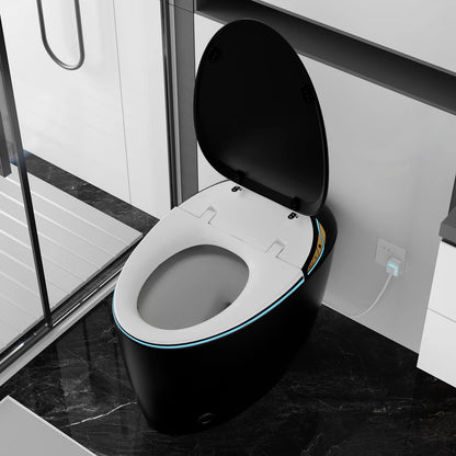 WinZo Smart Toilet with Bidet Seat, Elongated Egg Shaped Modern Design, Auto Open and Flush, Adjusted Heated Seat, Warm Water and Dryer, Night Light, Side Buttons, Matte Black