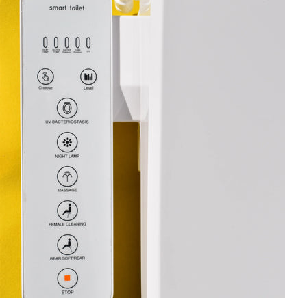 Electronic Bidet Toilet seat