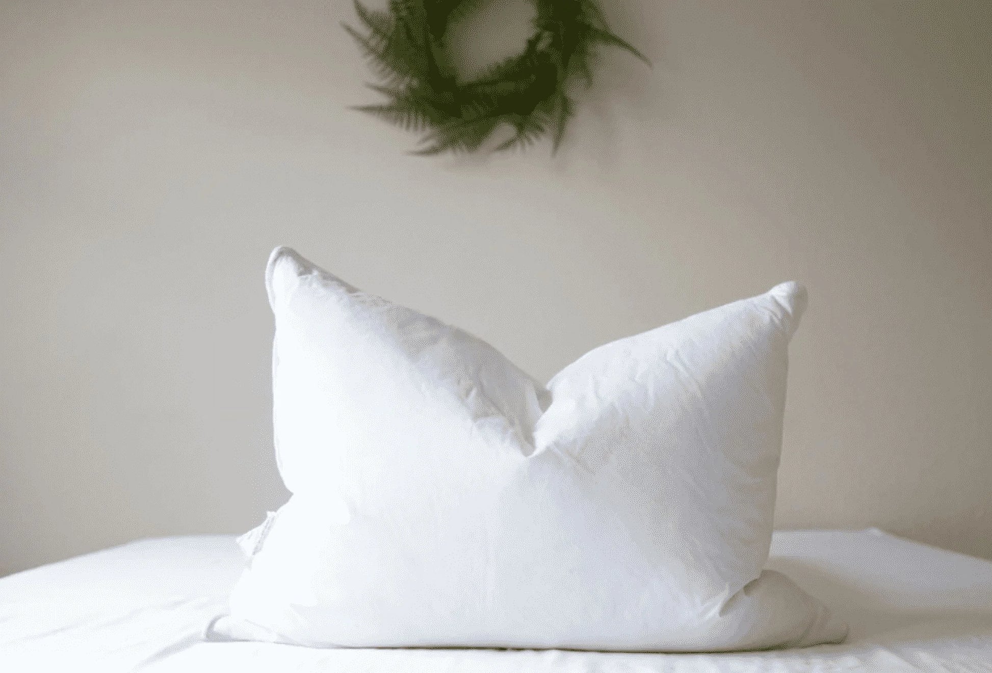 Pacific Coast Touch of Down Pillows w/Four Pillowtex Pillow Protectors - King (4-pack)