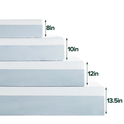 Spa Sensations by Zinus 10" Gel Essential Memory Foam Mattress, Queen