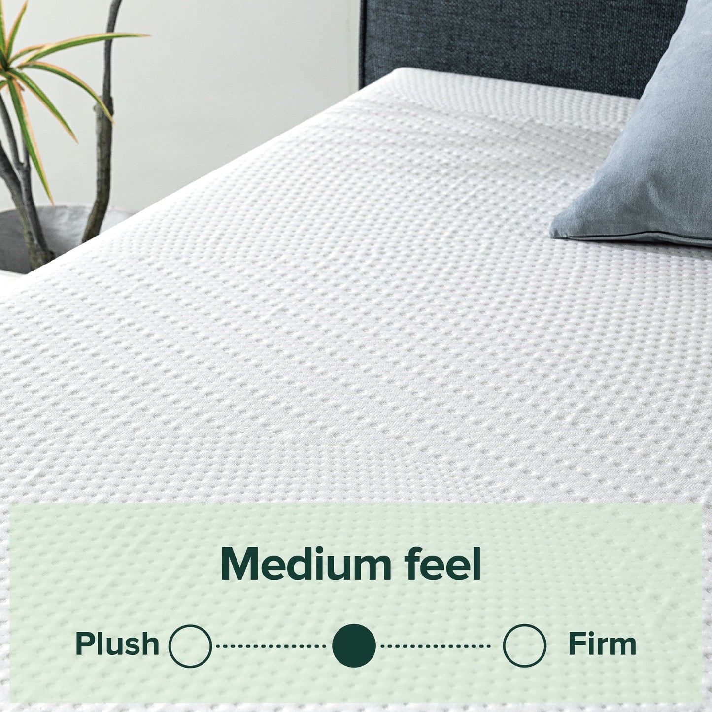 Spa Sensations by Zinus 10" Gel Essential Memory Foam Mattress, Queen