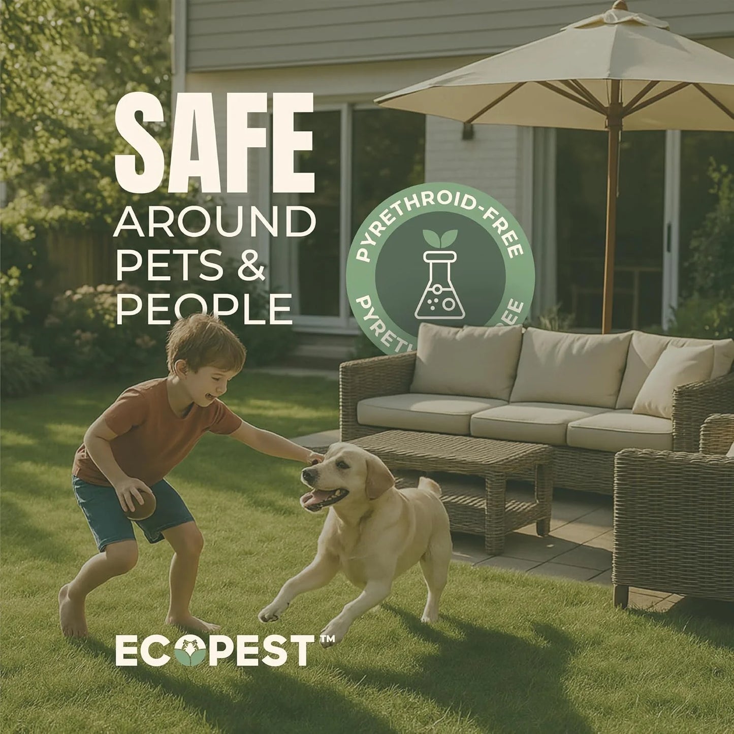 Mite Spray - Natural Killer for Dust, Bird, Spider, Scabies & Other Mites | Bedding & Furniture-Safe | Treatment for Chickens, Poultry, Dogs, Cats, Reptiles & Other Pets | Indoor & Outdoor (1 Gallon)