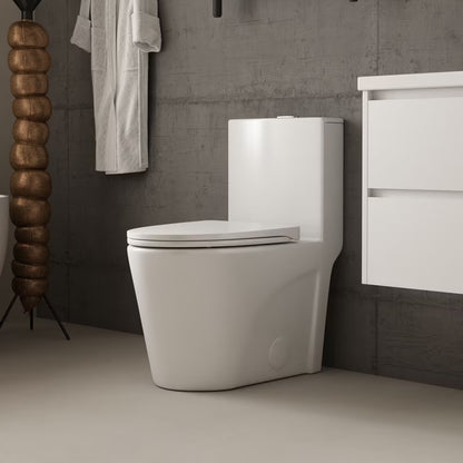 Albriya A1854 One Piece Toilet, Modern Elongated Toilet Power Dual Flush 1.1/1.6 GPF with Comfortable Chair Seat ADA Height 16 1/4’for Bathroom, 12’Rough-In, MaP 1000g, Grey