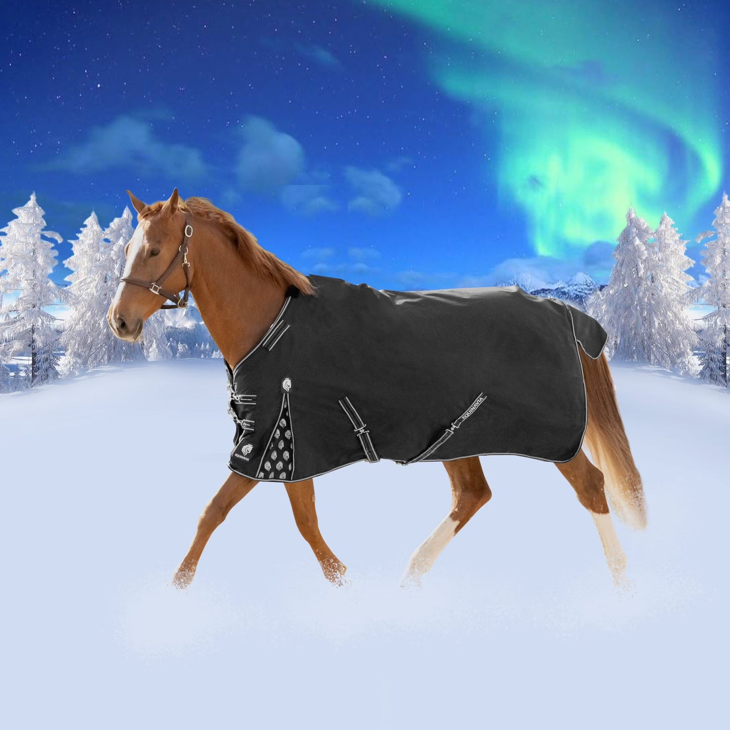 Equinavia Norse 200g Medium Weight Horse Blanket Waterproof All Weather Winter Turnout
