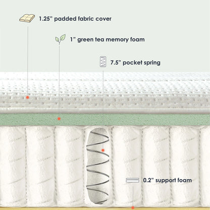 Mellow Rena 10" Green Tea Memory Foam Pocket Spring Mattress, Queen