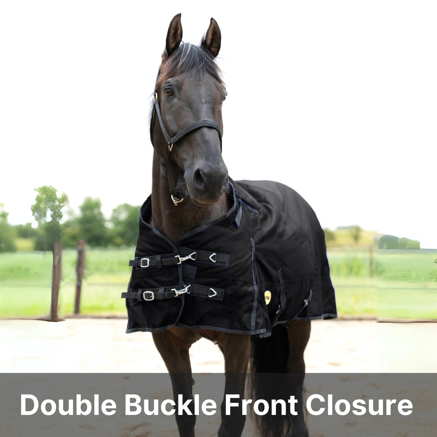 RESISTANCE Premium 1200D Waterproof Horse Turnout Blanket with 300g Polyfill & Adjustable Buckle Closure