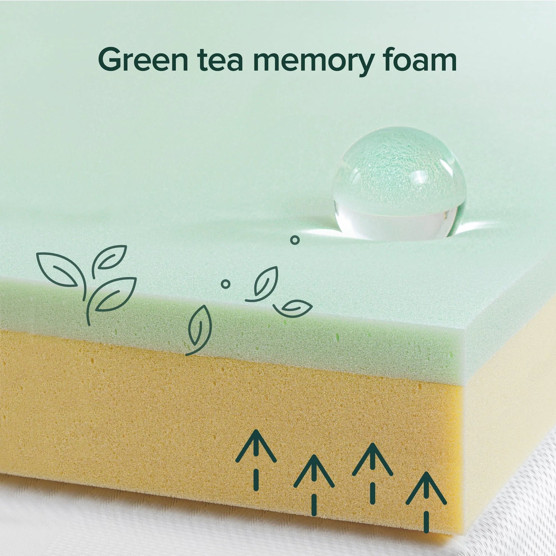 Spa Sensations Serenity by Zinus 8" Memory Foam Mattress, Full