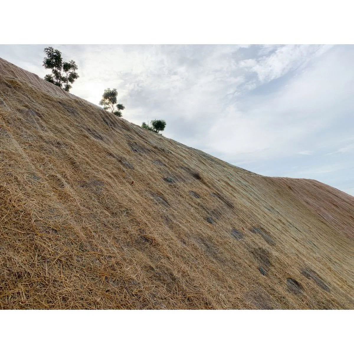 Farm Plastic Supply - Erosion Control Blanket - Coconut Garden and Landscape Cover, Erosion Control Blanket, Coconut Blanket, Erosion Control, Mulch, Slope Stabilizer (4' x 112.5')