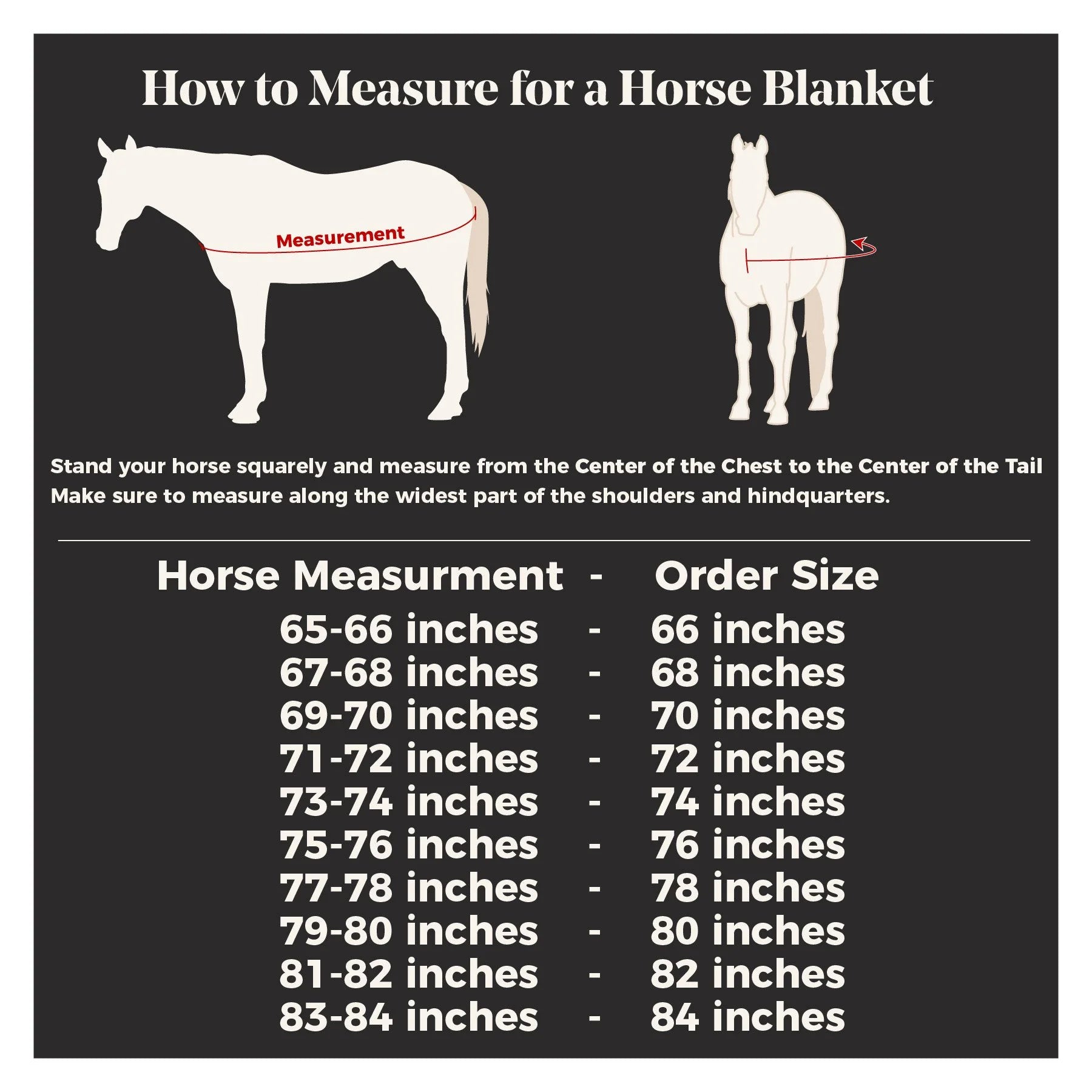 STORM SHIELD Classic II Medium Horse Turnout Blanket | Color Royal | Size 74