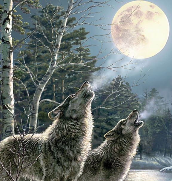 Wilderness Wolf Pack Throw Blanket, Multicolor, Standard Throw