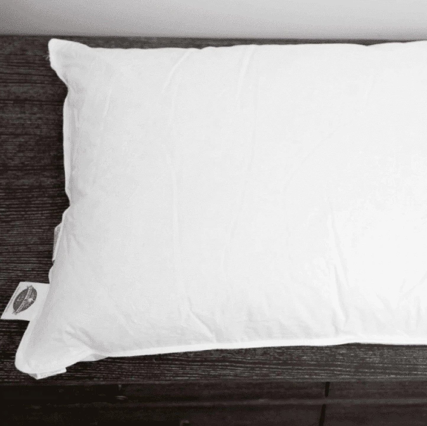 Pacific Coast Touch of Down Pillows w/Four Pillowtex Pillow Protectors - King (4-pack)
