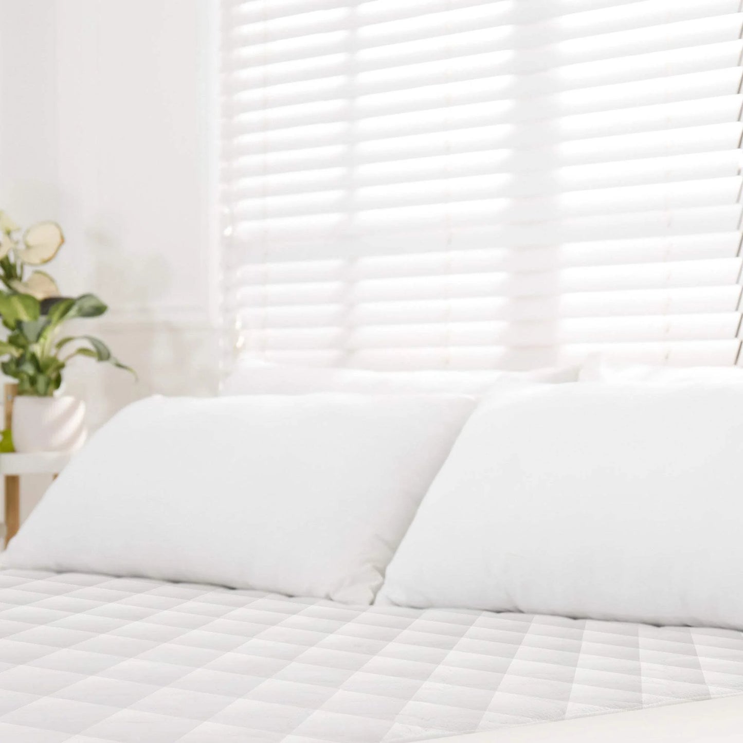 Whisper Organics 100% Cotton Organic Mattress Protector, 500TC Mattress Pad, Twin size, White
